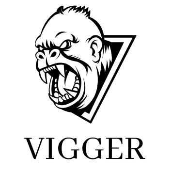 VIGG3R